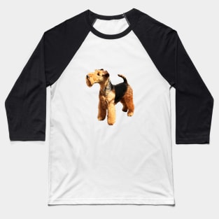 Welsh Terrier Beautiful Dog Baseball T-Shirt